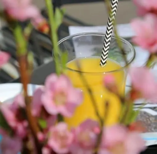 Karlita Lägenhet Slano