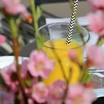Karlita Apartament Slano